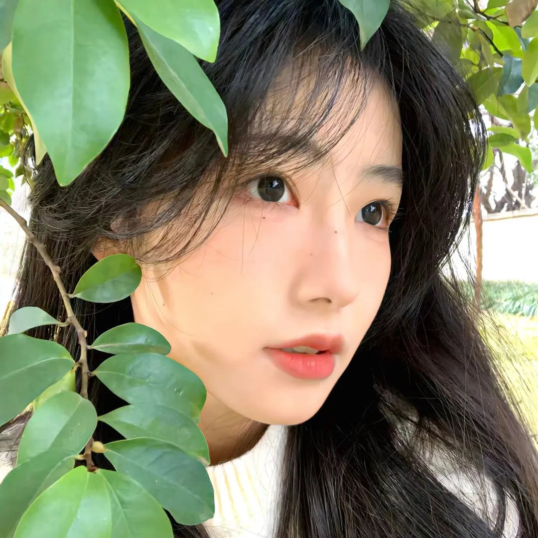 银簪子